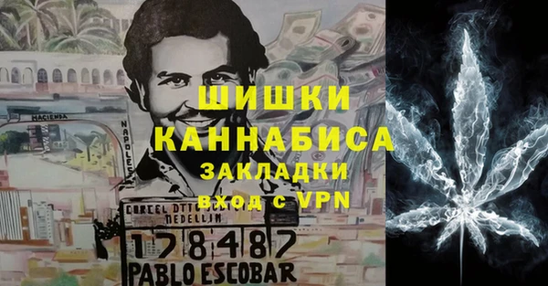 apvp Бикин