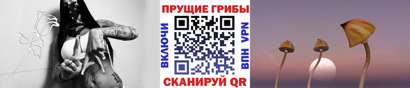 Псилоцибиновые грибы GOLDEN TEACHER  Островной 